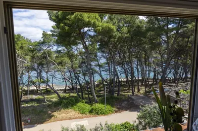 Priroda u blizini apartmana