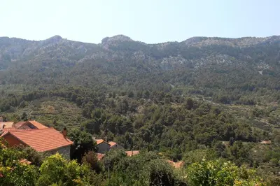 Priroda u blizini apartmana