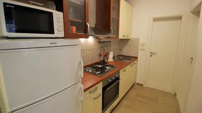 Kuhinja ili čajna kuhinja u objektu Apartment Mario