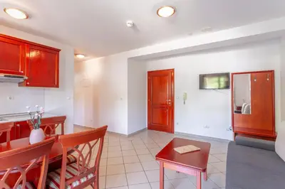 Kuhinja ili čajna kuhinja u objektu Apartments Vila Kristina