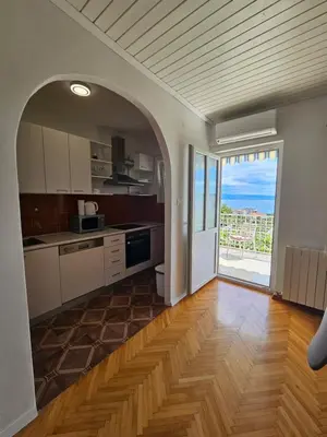 Kuhinja ili čajna kuhinja u objektu Apartments Sara