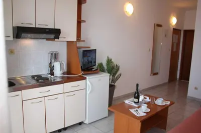 Kuhinja ili čajna kuhinja u objektu Villa dvor apartments