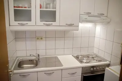 Kuhinja ili čajna kuhinja u objektu Apartments Brane