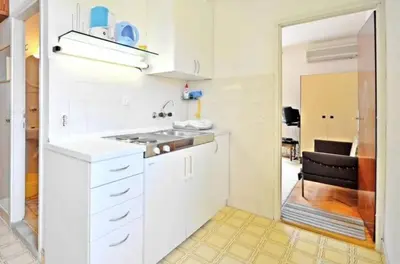 Kuhinja ili čajna kuhinja u objektu Apartment Božiković - Jelsa - Vitarnja