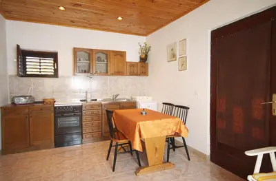 Kuhinja ili čajna kuhinja u objektu Apartments by the sea Stomorska, Solta - 5164