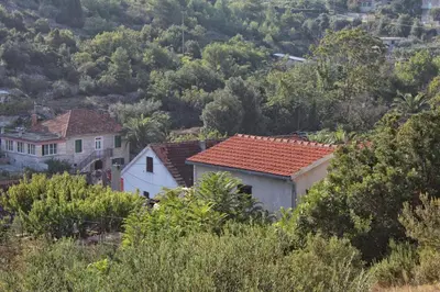 Priroda u blizini apartmana