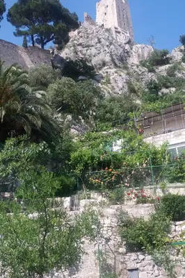 Priroda u blizini apartmana