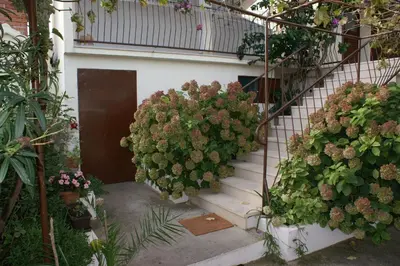 Tlocrt objekta Apartments with parking space Supetar, Brac - 2845