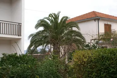 Vrt u objektu Apartments with parking space Jelsa, Hvar - 4040