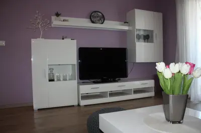 TV i/ili zabavni centar u objektu Apartment Anchi