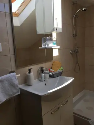 Kupaonica u objektu Villa Belvedere Žiža
