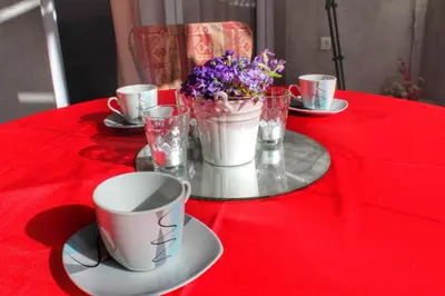 Sadržaji za pripremu kave/čaja u objektu Apartments Filip