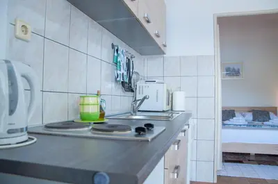 Kuhinja ili čajna kuhinja u objektu Apartments by the sea Pucisca, Brac - 5625