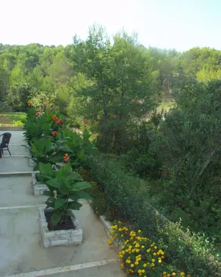 Vrt u objektu Apartments with parking space Sutivan, Brac - 747