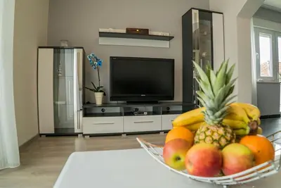 TV i/ili zabavni centar u objektu Apartman Ljubica Sea View