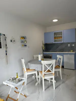 Kuhinja ili čajna kuhinja u objektu Apartment Ana