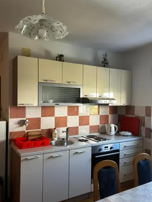 Kuhinja ili čajna kuhinja u objektu Apartments Erceg