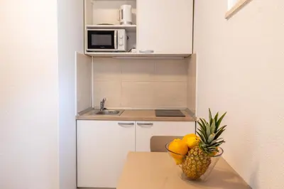 Kuhinja ili čajna kuhinja u objektu Vidoš apartments