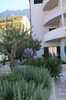 Vrt u objektu Apartments with a parking space Makarska - 3751