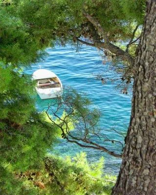 Tlocrt objekta Seaside apartments with a swimming pool Puntinak, Brac - 769