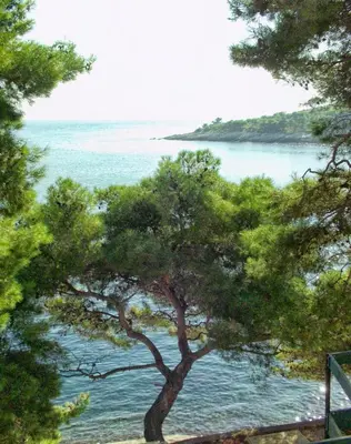 Tlocrt objekta Seaside apartments with a swimming pool Puntinak, Brac - 769