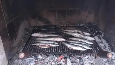 Oprema za roštilj dostupna gostima apartmana