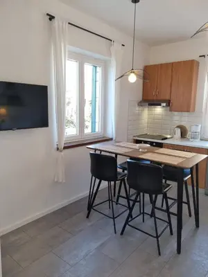 Kuhinja ili čajna kuhinja u objektu Apartments by the sea Postira, Brac - 706