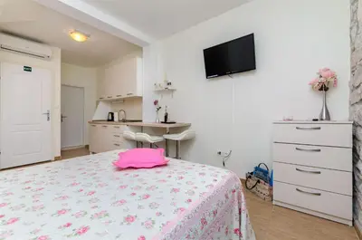 TV i/ili zabavni centar u objektu Apartments Djurdjica