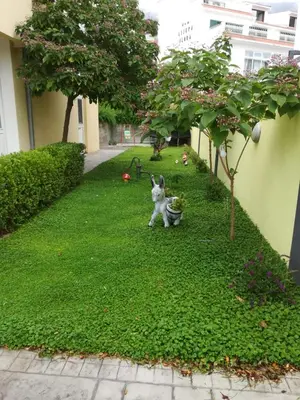 Vrt u objektu Apartmani Morango