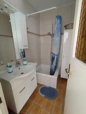 Kupaonica u objektu Apartments Milevčić