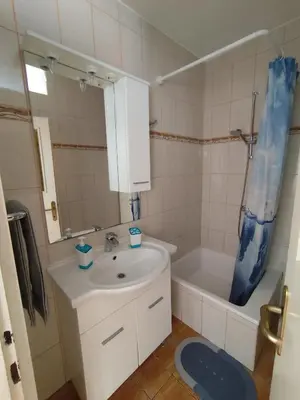 Kupaonica u objektu Apartments Milevčić