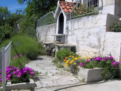 Vrt u objektu Apartments with parking space Brela, Makarska - 11552