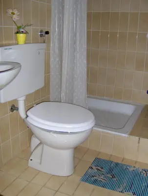 Kupaonica u objektu Apartments with parking space Brela, Makarska - 11552