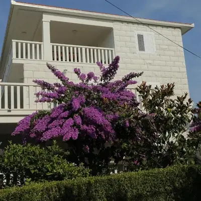 Apartments Marino