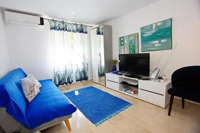 TV i/ili zabavni centar u objektu Apartment Zorica