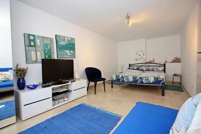 TV i/ili zabavni centar u objektu Apartment Zorica