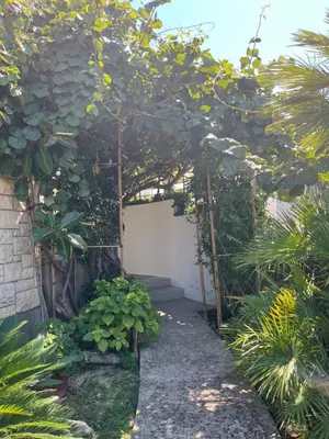 Vrt u objektu Apartman Mladenka