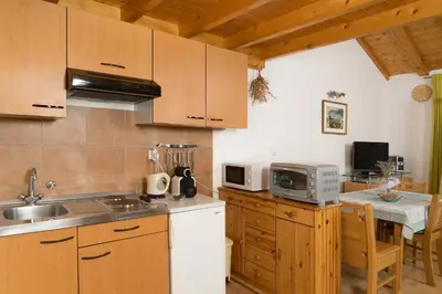 Kuhinja ili čajna kuhinja u objektu Apartmani Amila-Pisak