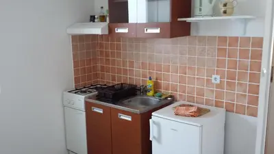 Kuhinja ili čajna kuhinja u objektu BenJak Apartments