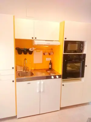 Kuhinja ili čajna kuhinja u objektu Apartman Studio Ujević
