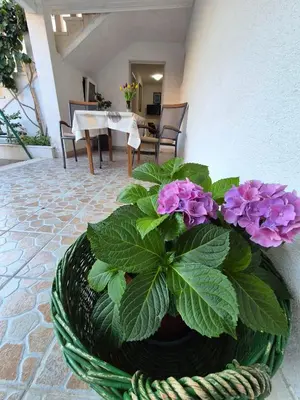 Tlocrt objekta Apartments Buktenica