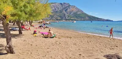 Priroda u blizini apartmana