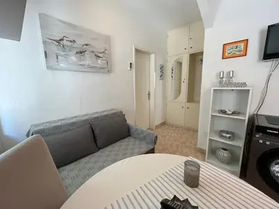 TV i/ili zabavni centar u objektu Apartment Merlin