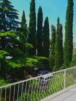 Priroda u blizini apartmana