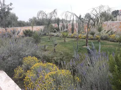 Vrt u objektu Palm paradise