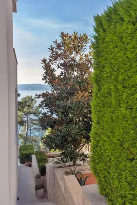Priroda u blizini apartmana