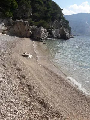 Priroda u blizini vila