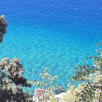 Priroda u blizini vila