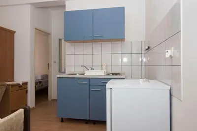 Kuhinja ili čajna kuhinja u objektu Apartments Jaksa