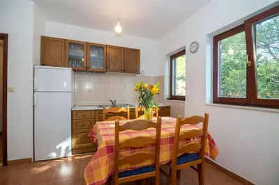Kuhinja ili čajna kuhinja u objektu Apartments Gordana